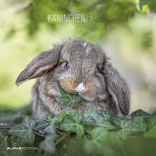 Kaninchen 2022 - Broschürenkalender 30x30 cm (30x60 geöffnet) - Kalender mit Platz für Notizen - Rabbits - Bildkalender