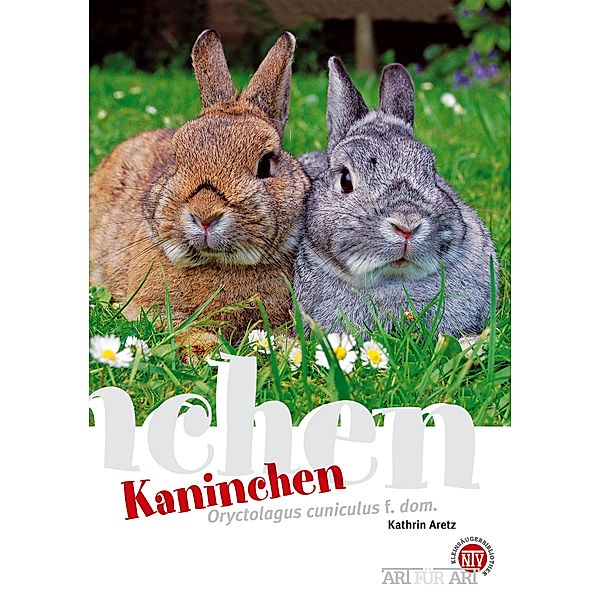 Kaninchen / Art für Art, Kathrin Aretz