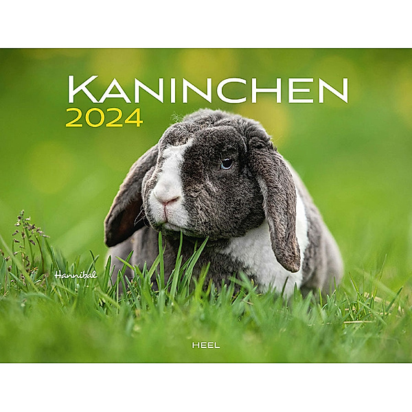 Kaninchen Eintragkalender 2024