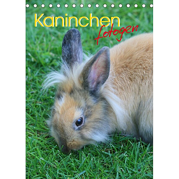 Kaninchen fotogen (Tischkalender 2022 DIN A5 hoch), Miriam Kaina