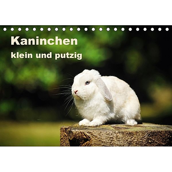 Kaninchen klein und putzig (Tischkalender 2018 DIN A5 quer), Yvonne Janetzek