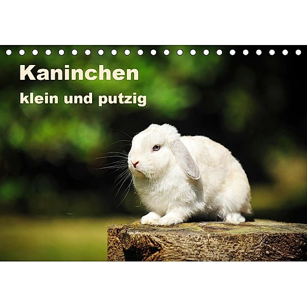 Kaninchen klein und putzig (Tischkalender 2020 DIN A5 quer), Yvonne Janetzek