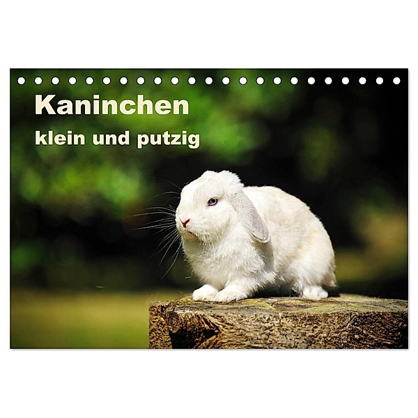 Kaninchen klein und putzig (Tischkalender 2024 DIN A5 quer), CALVENDO Monatskalender, Yvonne Janetzek