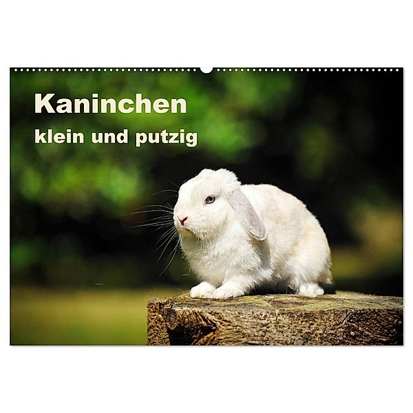 Kaninchen klein und putzig (Wandkalender 2024 DIN A2 quer), CALVENDO Monatskalender, Yvonne Janetzek