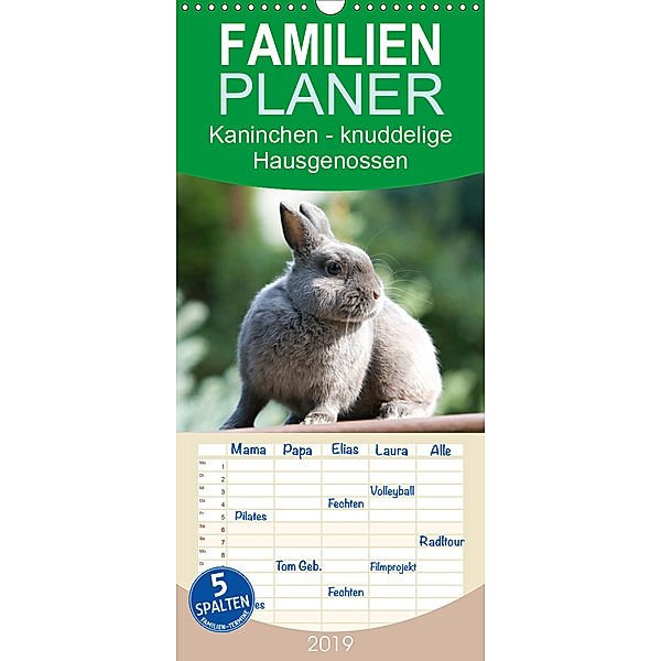 Kaninchen - knuddelige Hausgenossen - Familienplaner hoch (Wandkalender 2019 , 21 cm x 45 cm, hoch), Verena Scholze