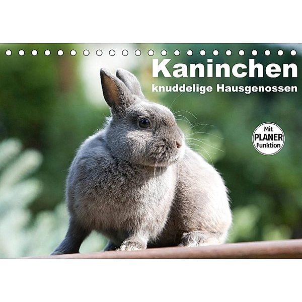 Kaninchen - knuddelige Hausgenossen (Tischkalender 2023 DIN A5 quer), Fotodesign Verena Scholze