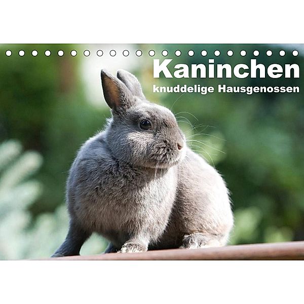 Kaninchen - knuddelige Hausgenossen (Tischkalender 2023 DIN A5 quer), Fotodesign Verena Scholze