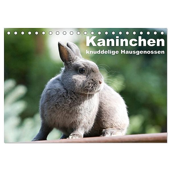 Kaninchen - knuddelige Hausgenossen (Tischkalender 2025 DIN A5 quer), CALVENDO Monatskalender, Calvendo, Fotodesign Verena Scholze