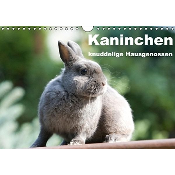 Kaninchen - knuddelige Hausgenossen (Wandkalender 2015 DIN A4 quer), Verena Scholze