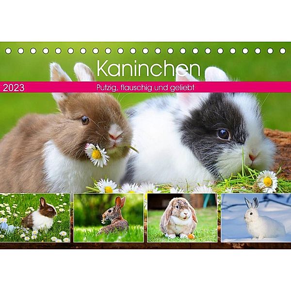 Kaninchen. Putzig, flauschig und geliebt (Tischkalender 2023 DIN A5 quer), Rose Hurley