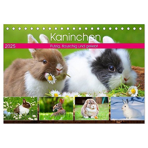 Kaninchen. Putzig, flauschig und geliebt (Tischkalender 2025 DIN A5 quer), CALVENDO Monatskalender, Calvendo, Rose Hurley