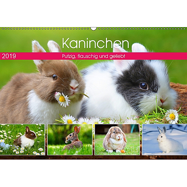Kaninchen. Putzig, flauschig und geliebt (Wandkalender 2019 DIN A2 quer), Rose Hurley