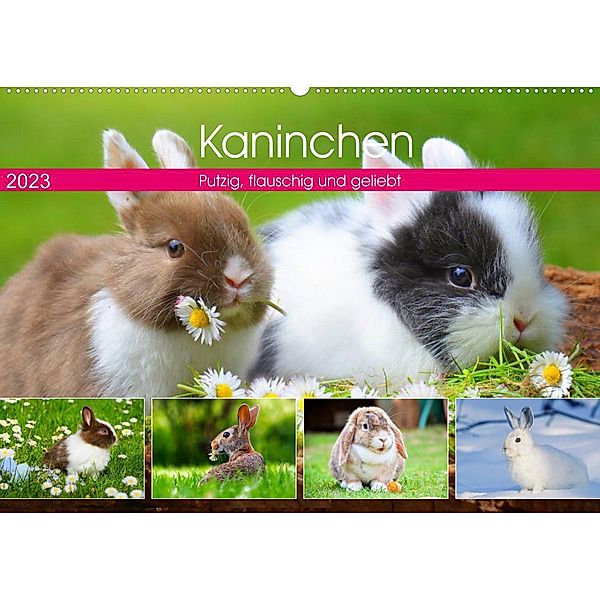Kaninchen. Putzig, flauschig und geliebt (Wandkalender 2023 DIN A2 quer), Rose Hurley