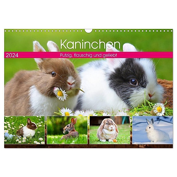 Kaninchen. Putzig, flauschig und geliebt (Wandkalender 2024 DIN A3 quer), CALVENDO Monatskalender, Rose Hurley