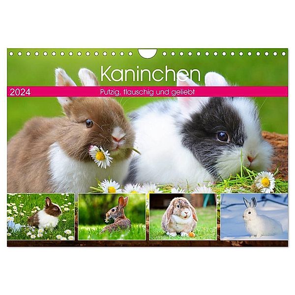 Kaninchen. Putzig, flauschig und geliebt (Wandkalender 2024 DIN A4 quer), CALVENDO Monatskalender, Rose Hurley