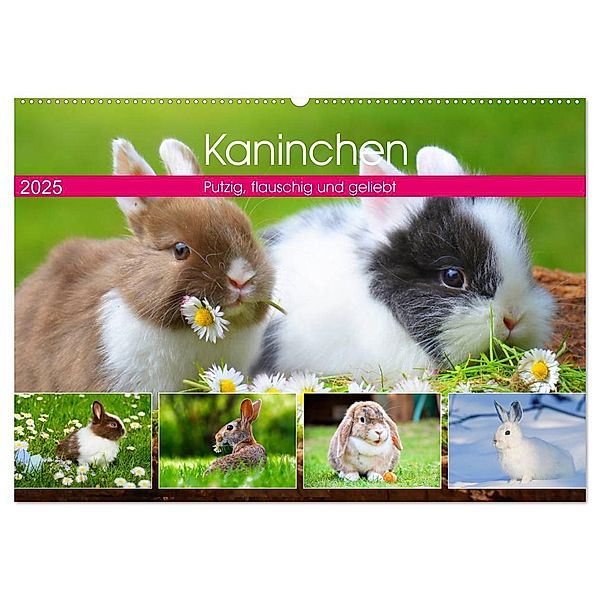 Kaninchen. Putzig, flauschig und geliebt (Wandkalender 2025 DIN A2 quer), CALVENDO Monatskalender, Calvendo, Rose Hurley