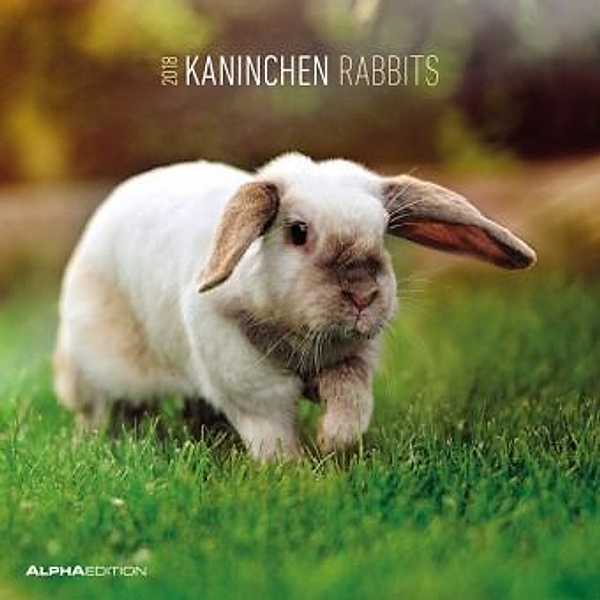 Kaninchen / Rabbits 2018