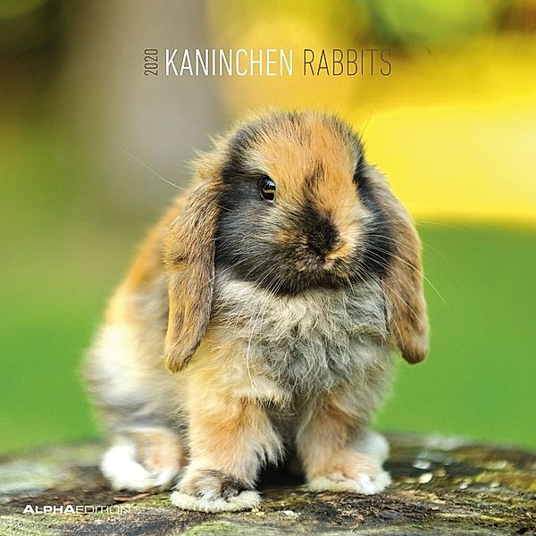 Kaninchen / Rabbits 2020, ALPHA EDITION
