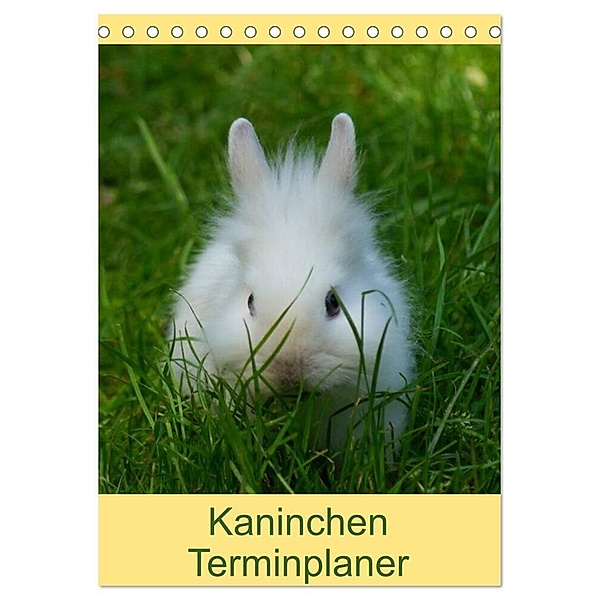 Kaninchen Terminplaner (Tischkalender 2024 DIN A5 hoch), CALVENDO Monatskalender, Kattobello