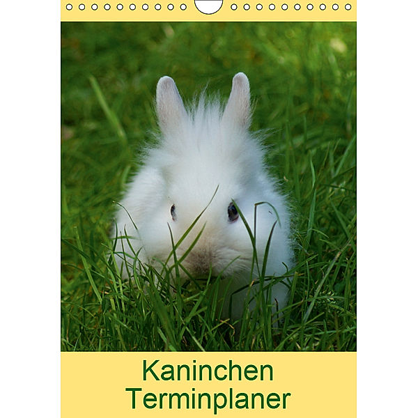 Kaninchen Terminplaner (Wandkalender 2019 DIN A4 hoch), Kattobello