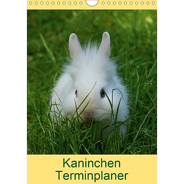 Kaninchen Terminplaner (Wandkalender 2020 DIN A4 hoch)