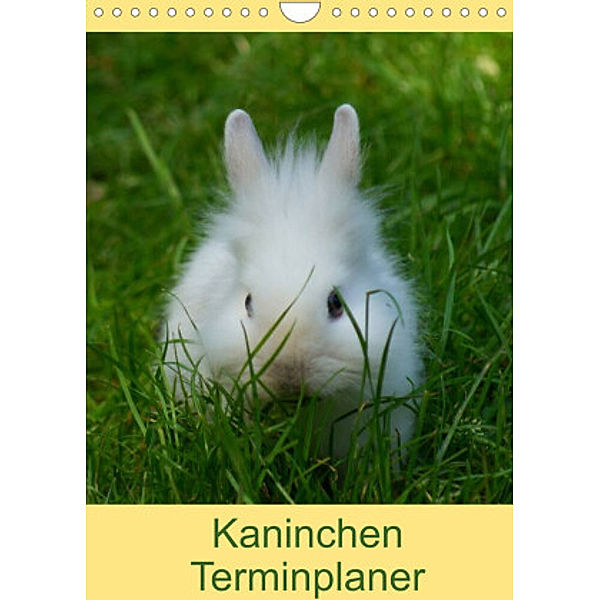 Kaninchen Terminplaner (Wandkalender 2022 DIN A4 hoch), Kattobello