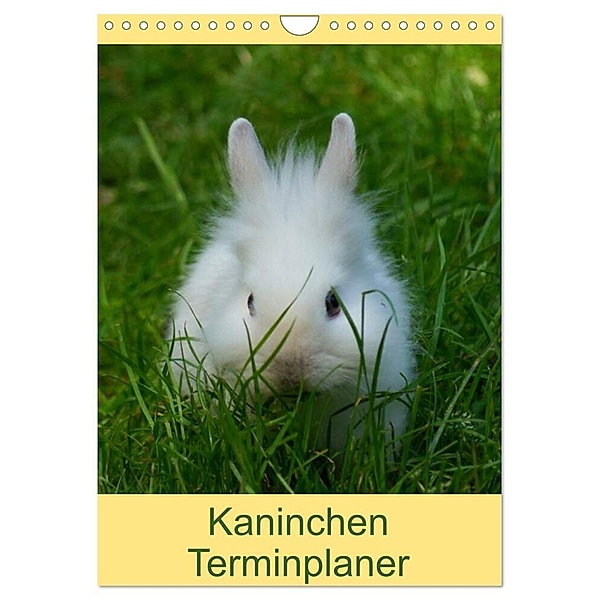 Kaninchen Terminplaner (Wandkalender 2024 DIN A4 hoch), CALVENDO Monatskalender, Kattobello