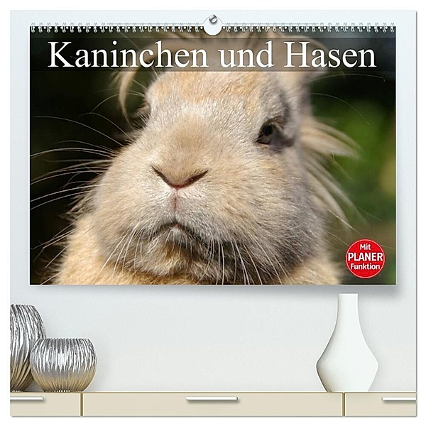 Kaninchen und Hasen (hochwertiger Premium Wandkalender 2024 DIN A2 quer), Kunstdruck in Hochglanz, Elisabeth Stanzer