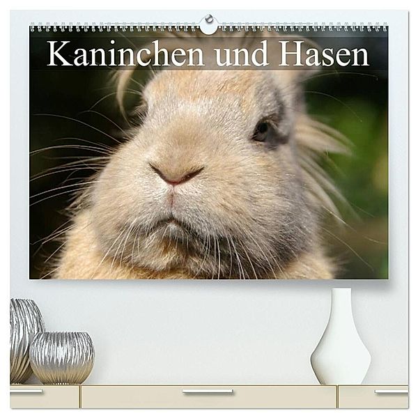 Kaninchen und Hasen (hochwertiger Premium Wandkalender 2024 DIN A2 quer), Kunstdruck in Hochglanz, Elisabeth Stanzer