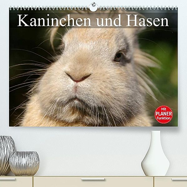 Kaninchen und Hasen (Premium, hochwertiger DIN A2 Wandkalender 2023, Kunstdruck in Hochglanz), Elisabeth Stanzer