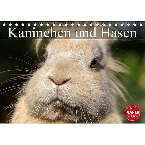 Kaninchen und Hasen (Tischkalender 2021 DIN A5 quer), Elisabeth Stanzer