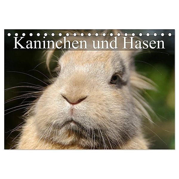 Kaninchen und Hasen (Tischkalender 2024 DIN A5 quer), CALVENDO Monatskalender, Elisabeth Stanzer