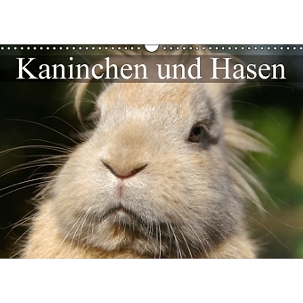 Kaninchen und Hasen (Wandkalender 2014 DIN A3 quer), Elisabeth Stanzer