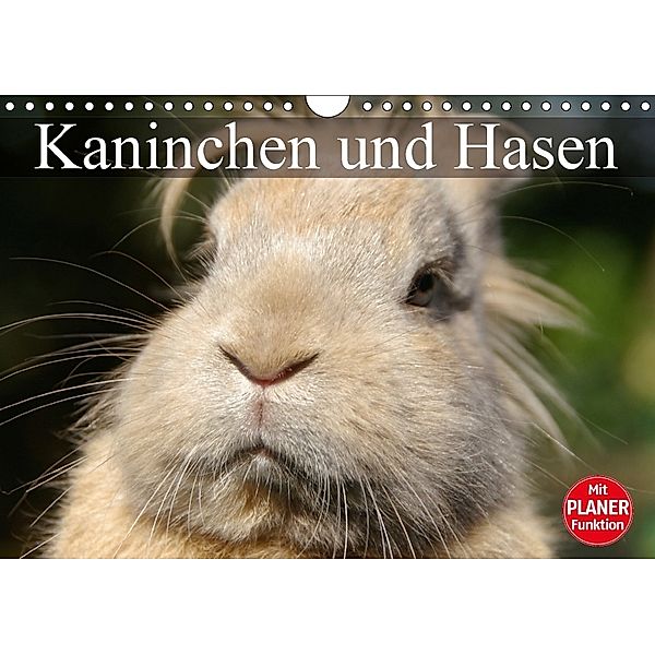 Kaninchen und Hasen (Wandkalender 2018 DIN A4 quer) Dieser erfolgreiche Kalender wurde dieses Jahr mit gleichen Bildern, Elisabeth Stanzer