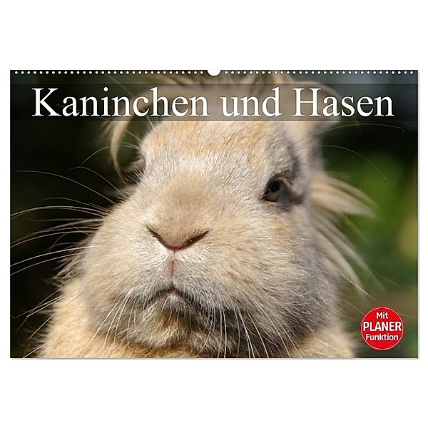 Kaninchen und Hasen (Wandkalender 2024 DIN A2 quer), CALVENDO Monatskalender, Elisabeth Stanzer