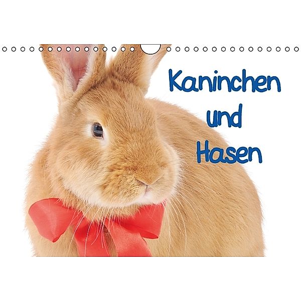 Kaninchen und Hasen (Wandkalender immerwährend DIN A4 quer), Elisabeth Stanzer