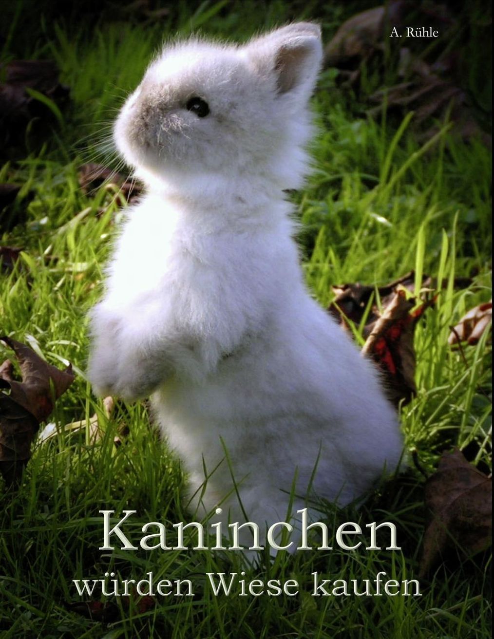 Kaninchen würden Wiese kaufen eBook v. Andreas Rühle | Weltbild