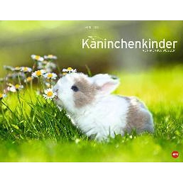 Kaninchenkinder Posterkalender 2015, Monika Wegler