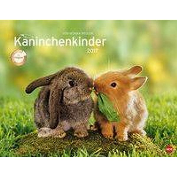 Kaninchenkinder Posterkalender 2017, Monika Wegler