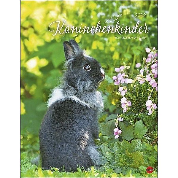 Kaninchenkinder Posterkalender 2022, Monika Wegler