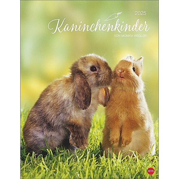 Kaninchenkinder Posterkalender 2025