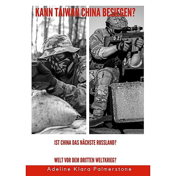 Kann Taiwan China besiegen? Ist China das nächste Russland? Welt vor dem Dritten Weltkrieg?, Adeline Klara Palmerstone