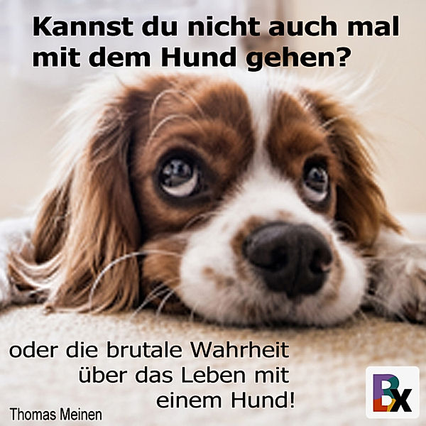 Kannst du nicht auch mal mit dem Hund gehen?, Thomas Meinen