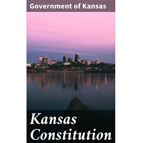 Kansas Constitution, Government of Kansas