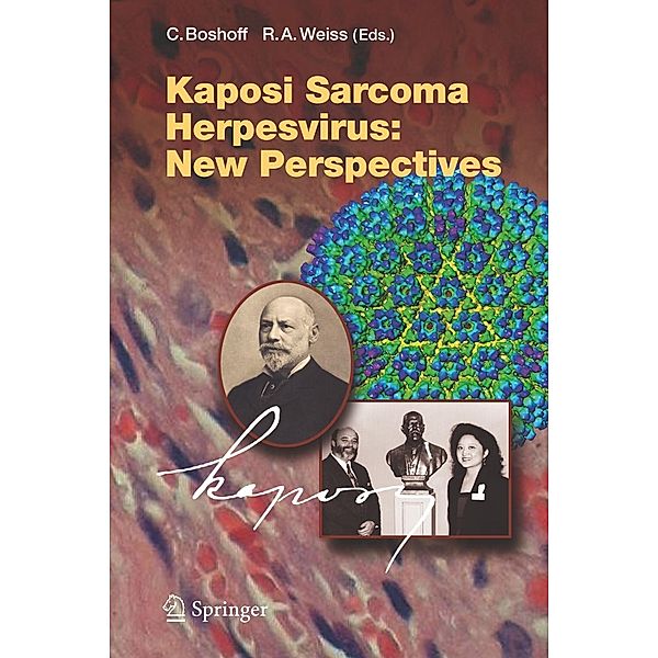 Kaposi Sarcoma Herpesvirus: New Perspectives / Current Topics in Microbiology and Immunology Bd.312