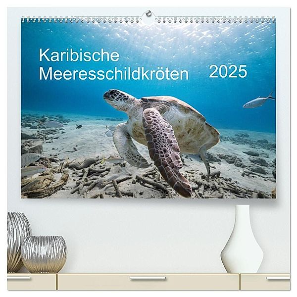 Karibische Meeresschildkröten (hochwertiger Premium Wandkalender 2025 DIN A2 quer), Kunstdruck in Hochglanz, Calvendo, Yvonne & Tilo Kühnast - naturepics