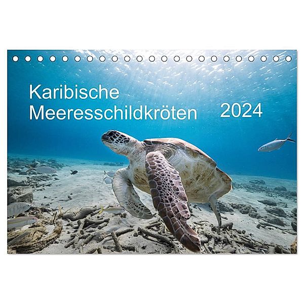 Karibische Meeresschildkröten (Tischkalender 2024 DIN A5 quer), CALVENDO Monatskalender, Yvonne & Tilo Kühnast - naturepics