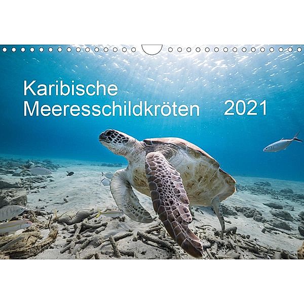 Karibische Meeresschildkröten (Wandkalender 2021 DIN A4 quer), Yvonne Kühnast