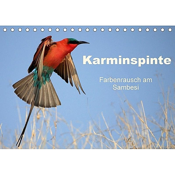 Karminspinte - Farbenrausch am Sambesi (Tischkalender 2017 DIN A5 quer), Michael Herzog