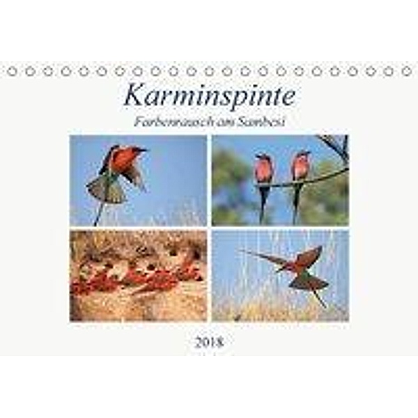 Karminspinte - Farbenrausch am Sambesi (Tischkalender 2018 DIN A5 quer), Michael Herzog